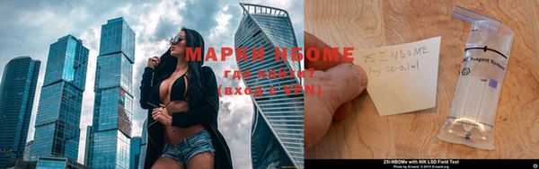 ПСИЛОЦИБИНОВЫЕ ГРИБЫ Арсеньев