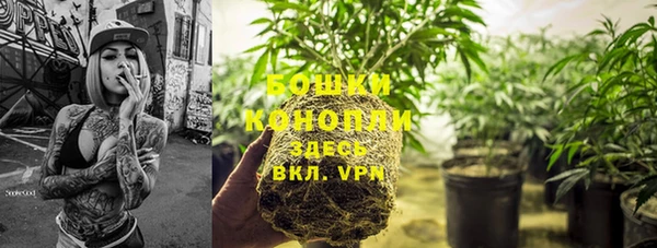 ПСИЛОЦИБИНОВЫЕ ГРИБЫ Арсеньев