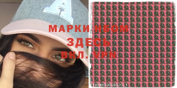 ПСИЛОЦИБИНОВЫЕ ГРИБЫ Арсеньев